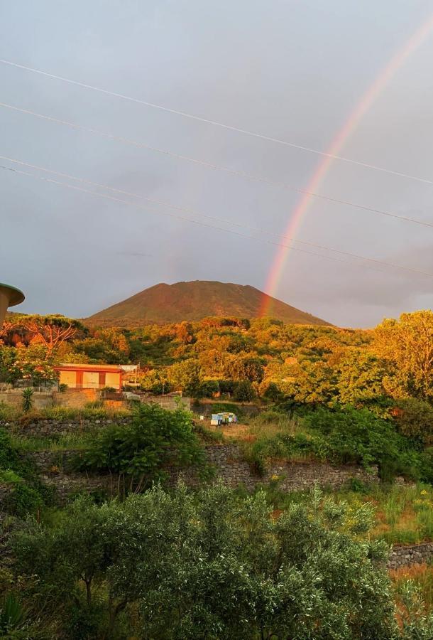 B&B Ioli Vesuvio Эрколано Экстерьер фото
